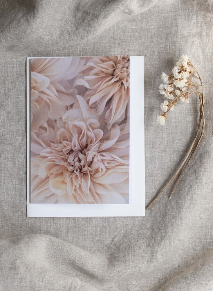 Single Greeting Card - Cafe au Lait