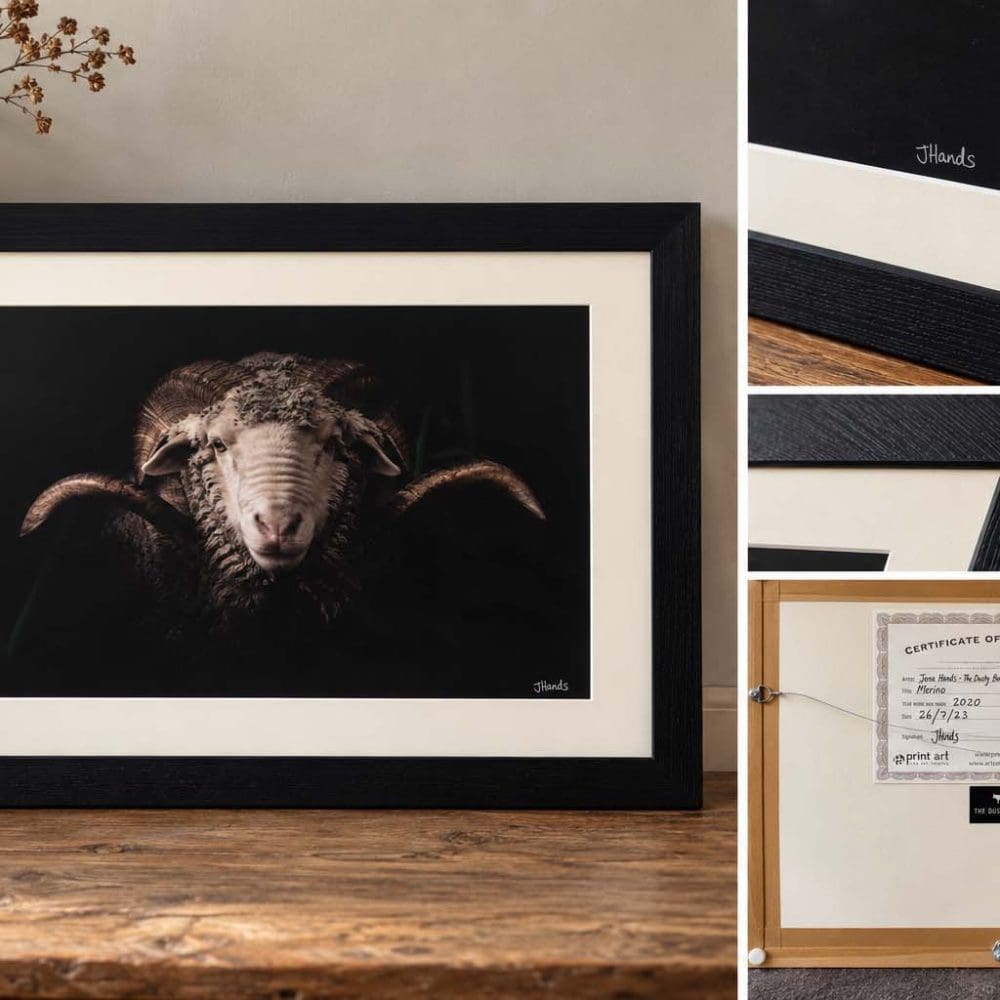 Merino Signed A2 Print